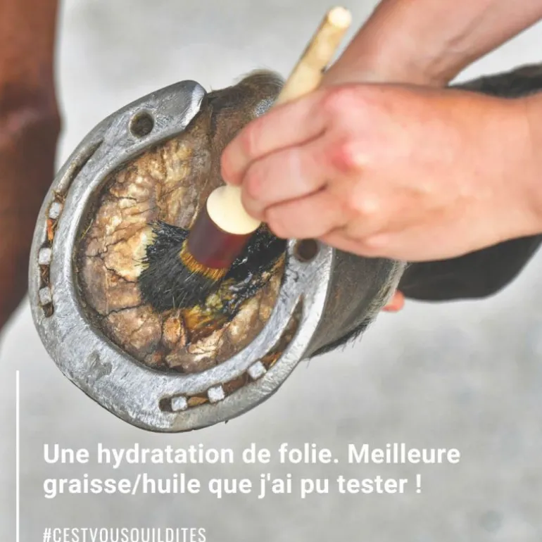 Natural'Coat -onguent sabot cheval incolore et noir – Natural'Innov