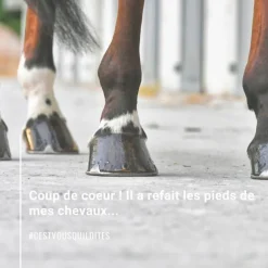 Natural'Coat -onguent sabot cheval incolore et noir – Natural'Innov