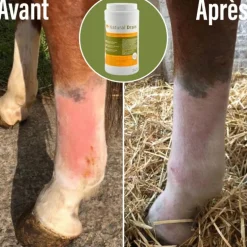 Natural'Drain drainage foie et reins cheval - Natural'Innov