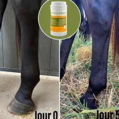 Natural'Drain drainage foie et reins cheval - Natural'Innov