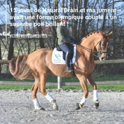 Natural'Drain drainage foie et reins cheval - Natural'Innov