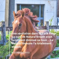 Natural'Immune immunité renforcée cheval - Natural'Innov
