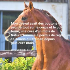 Natural'Immune immunité renforcée cheval - Natural'Innov