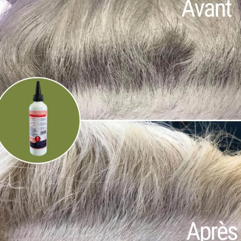 Natural'Itch démangeaisons cheval dermite - Natural'Innov