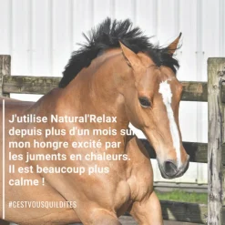Natural'Relax stress cheval - Natural'Innov
