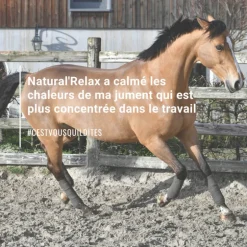 Natural'Relax stress cheval - Natural'Innov