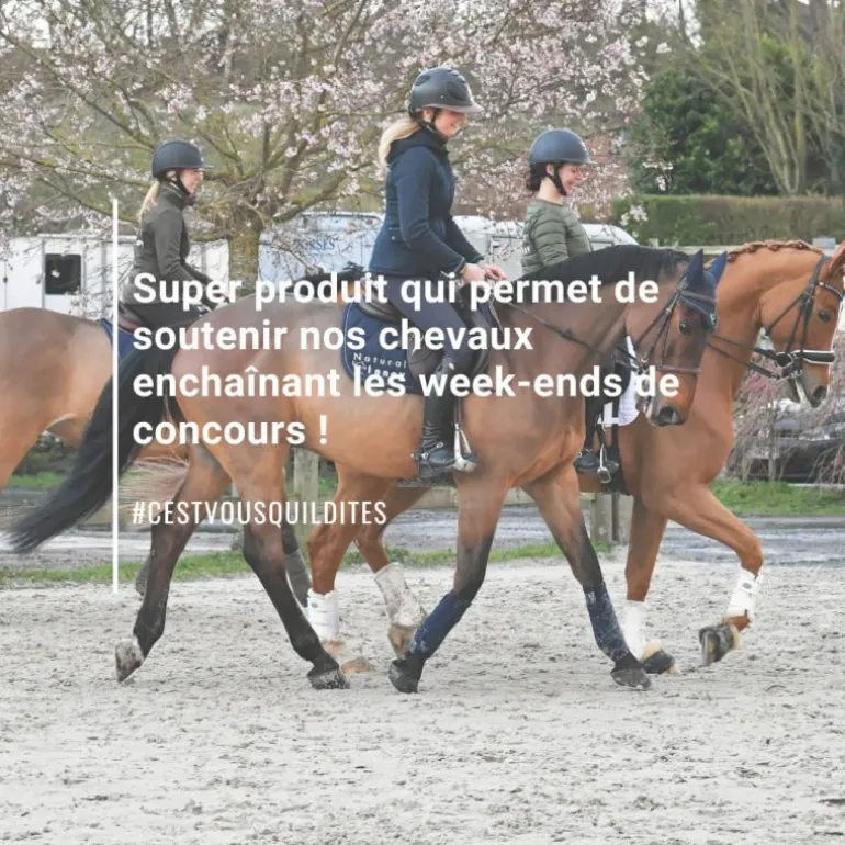 Natural'Top vitalité durable cheval - Natural'Innov