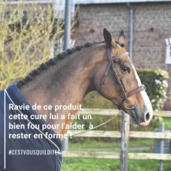 Natural'Top vitalité durable cheval - Natural'Innov