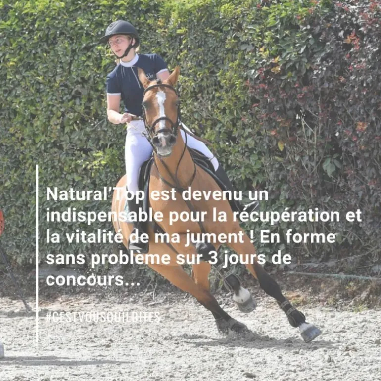 Natural'Top vitalité durable cheval - Natural'Innov