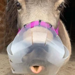 Panier anti-fourbure cheval limitation élevée Filly - Thinline