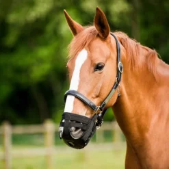 Panier muselière cheval anti-fourbure