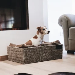 Panier pour chien Basket - Kentucky