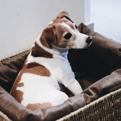 Panier pour chien Basket - Kentucky