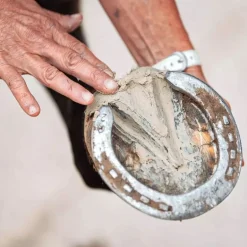 Pediplaste argile sabot cheval - Ravene