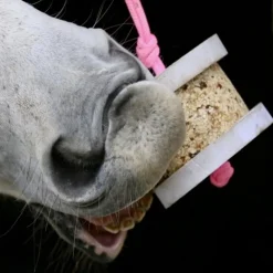 Pierre à lécher cheval Happy Wild - Happy Crackers