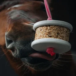 Pierre à lécher cheval Happy Wild - Happy Crackers