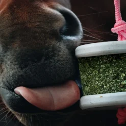 Pierre à lécher cheval Happy Wild - Happy Crackers