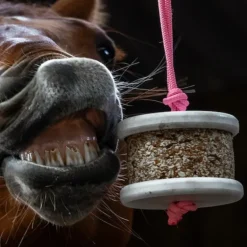 Pierre à lécher cheval Happy Wild - Happy Crackers