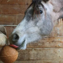 Pierre à lécher endurance cheval Ball Endurance - Unika
