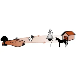 Piège à taons sur pied TaonX XXL 10 000 m²