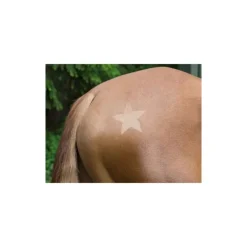 Pochoirs de tonte chevaux divers motifs