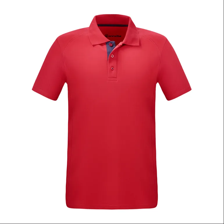 Polo coton Homme Barry - Cavallo
