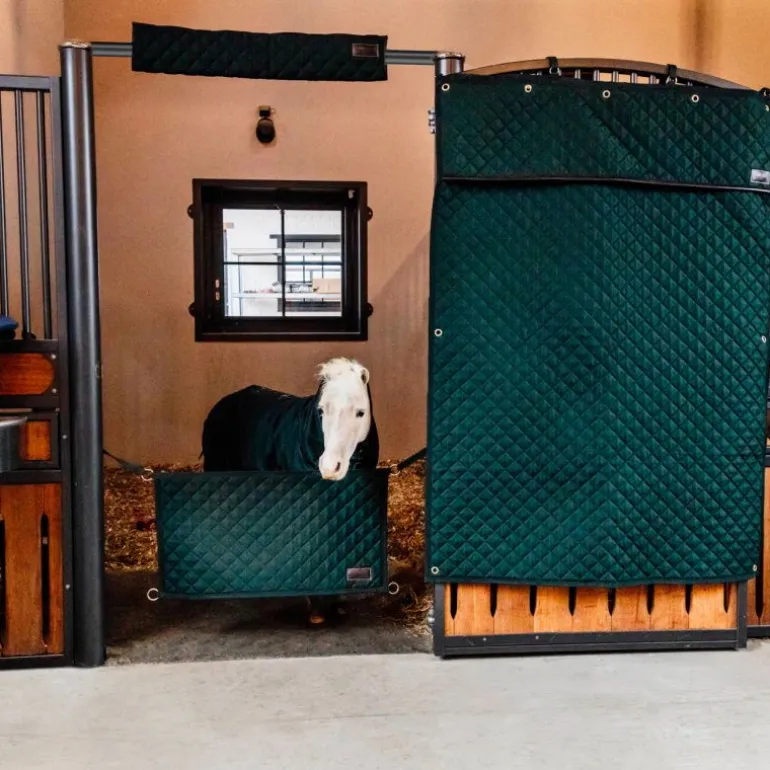 Protection de box cheval pour tête - Kentucky