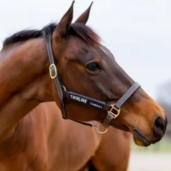 Protections côtés licol cheval - Thinline