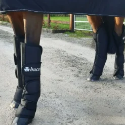 Protections de transport cheval 2020 x4 - Bucas