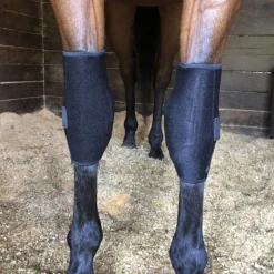 Protège genoux cheval thérapeutique Technologie Titane Liquide - Fenwick