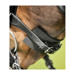 Protège muserolle en mousse - Waldhausen