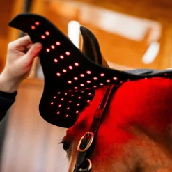 Protège nuque thérapeutique cheval LED Luminotherapie Poll Cap - Horseware