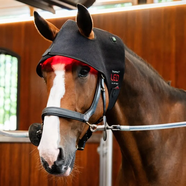 Protège nuque thérapeutique cheval LED Luminotherapie Poll Cap - Horseware