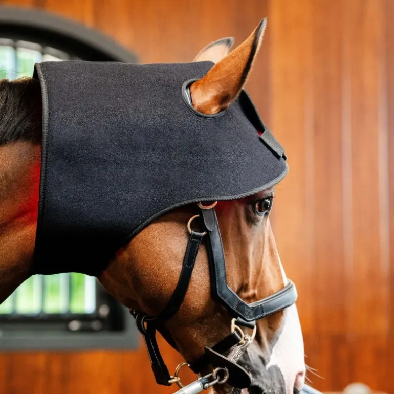 Protège nuque thérapeutique cheval LED Luminotherapie Poll Cap - Horseware