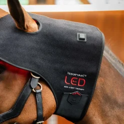 Protège nuque thérapeutique cheval LED Luminotherapie Poll Cap - Horseware