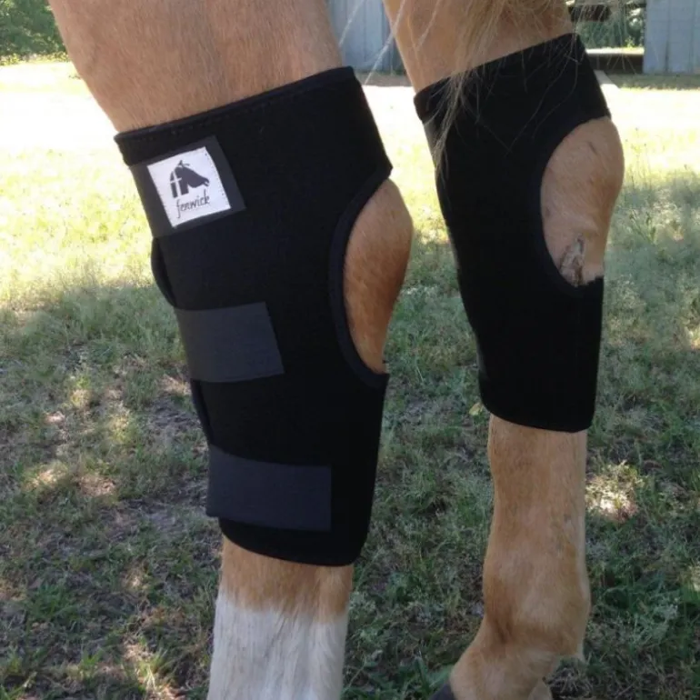 Protège-jarrets cheval thérapeutique Technologie Titane Liquide - Fenwick