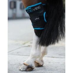 Protège-jarrets massant cheval Ice-Vibe - Horseware