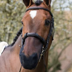 Protège-Naseaux cheval anti-encensement Net Relief - Equilibrium