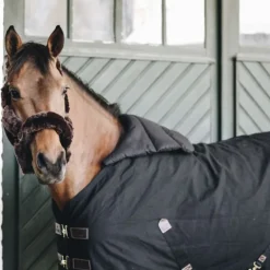 Protège-épaules cheval été Summer Bib - Kentucky