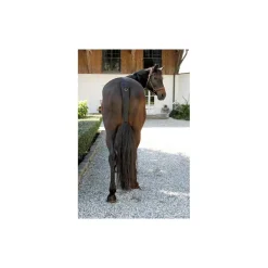 Protège-queue de transport cheval néoprène