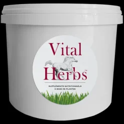 Seau vide 5 litres - Vital Herbs