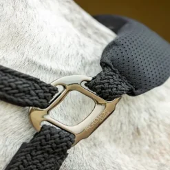 Set licol + longe cheval mesh ergonomique Dorai - Pro-Confort Horsewear
