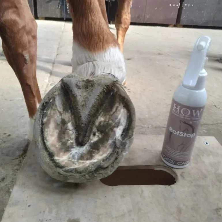 Soin fourchette cheval Rotstop - Horse Of The World