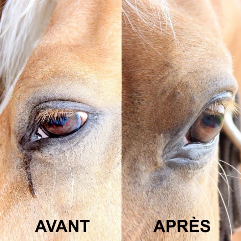 Soins zones sensibles en lingettes x 25 Easy Shine Wipe - Ravene