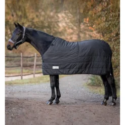 Sous couverture cheval anti-glisse Thermo Clip'in system 200g - Waldhausen