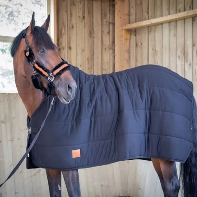 Sous couverture cheval 200g Underblanket - Paddock Sports