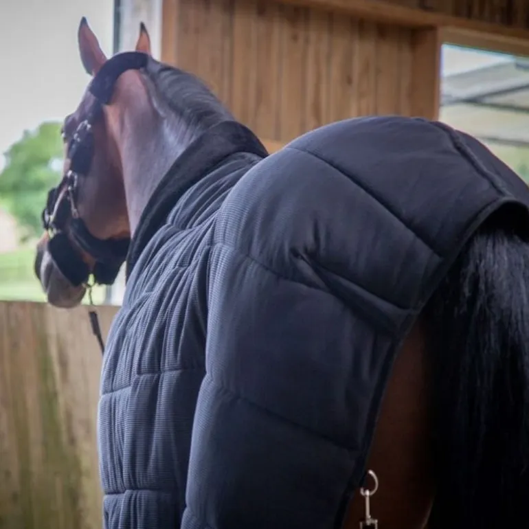 Sous couverture cheval 200g Underblanket - Paddock Sports