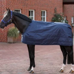Sous couverture cheval Liner 200g - Bucas