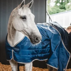Sous couverture Liner cheval thérapeutique 50gr Ionic - Horseware