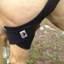 Strapping Grassets et rotules cheval thérapeutique régénérant -Titane Liquide - Fenwick